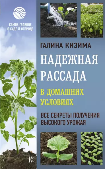 Надежная рассада в домашних условиях. Все секреты получения высокого урожая - фото 1