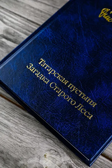 Татарская пустыня. Загадка Старого Леса - фото 9