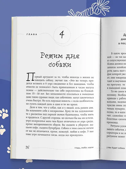 Гладь, люби, хвали. Нескучное руководство по воспитанию собаки (новое оформление 2026) - фото 9