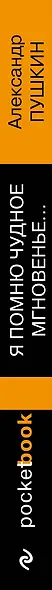 Я помню чудное мгновенье... Стихотворения - фото 5