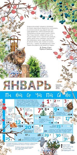 Календарь Ваш сад и огород 2027 год - фото 6