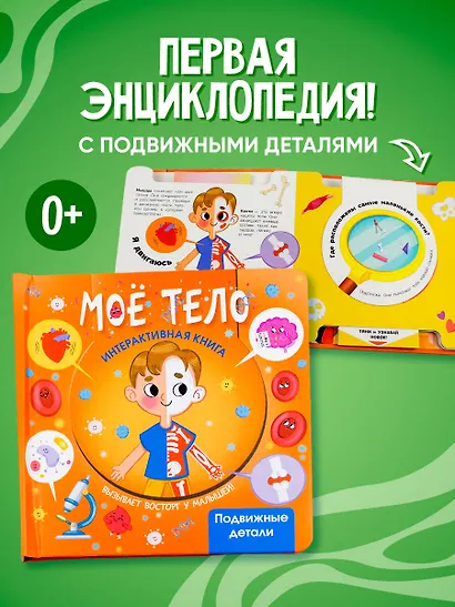 Моё тело - фото 4