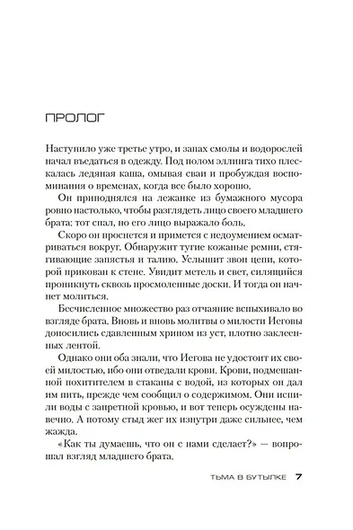 Тьма в бутылке - фото 8