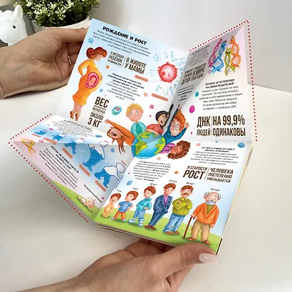 Анатомия : книжка-трансформер - фото 8