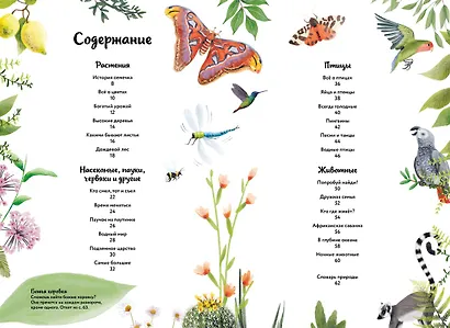 Большая книга о природе в картинках - фото 3