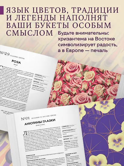 Грамматика цветов. Иллюстрированный путеводитель по цветочной вселенной символов, лечебных свойств и применения растений - фото 6