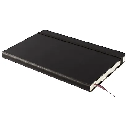 Книга для записей Moleskin Proffesional Large, твёрдая обложка, чёрная, 120 листов, А5 - фото 2