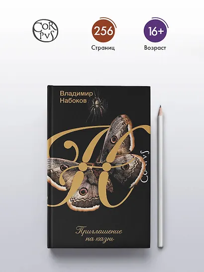 Приглашение на казнь - фото 4