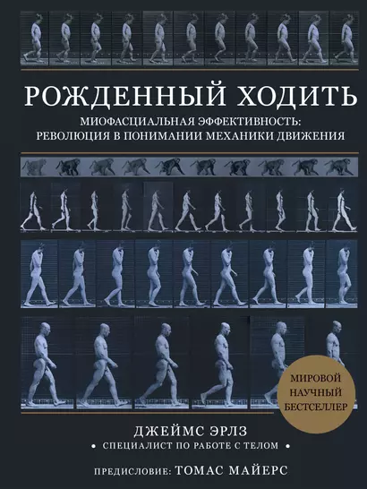 Рожденный ходить. Миофасциальная эффективность: революция в понимании механики движения - фото 1