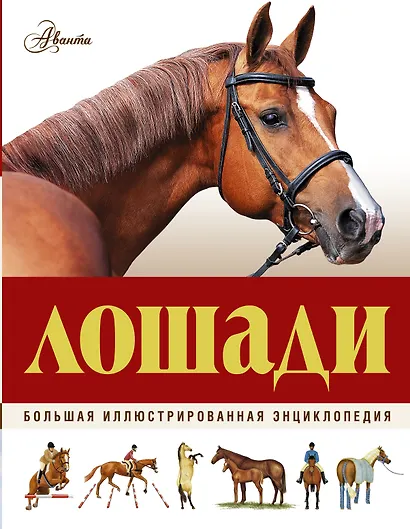 Большая иллюстрированная энциклопедия. Лошади - фото 1