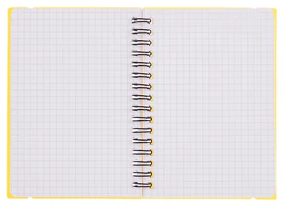 Тетрадь 80 листов, клетка, "Favorite Color. Neon Orange" спираль - фото 3