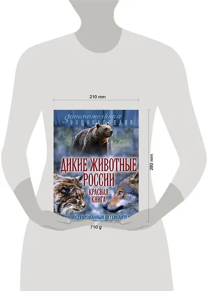 Дикие животные России. Красная книга: иллюстрированный путеводитель - фото 3