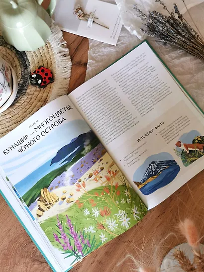 Острова России - фото 12