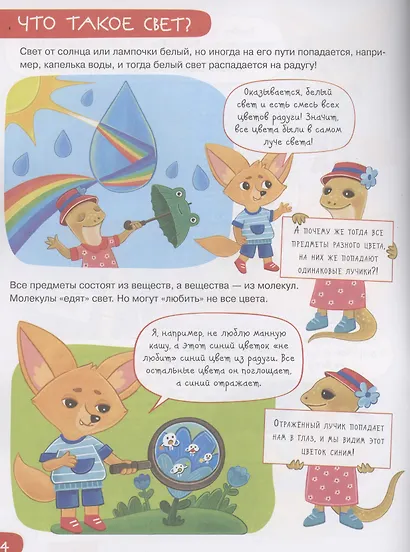 Органы чувств: вижу - фото 4