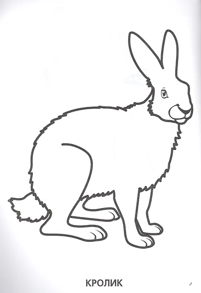 Животные. Супер-раскраска. (простая раскраска для маленьких, 64 картинки.) - фото 2