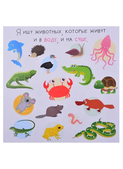 Набор книг "Я ищу. Для любопытных ребят" : Числа, Я ищу животных, Алфавит (комплект из 3 книг)Числа, Я ищу животных, Алфавит - фото 5