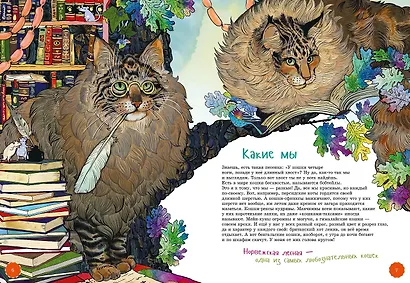 Я кот - фото 6