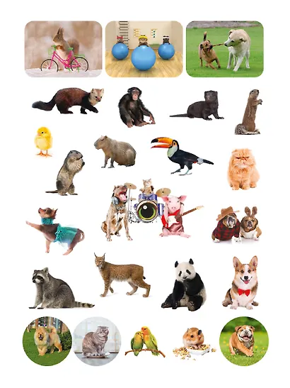 100 НАКЛЕЕК. ЗАБАВНЫЕ ЖИВОТНЫЕ - фото 4