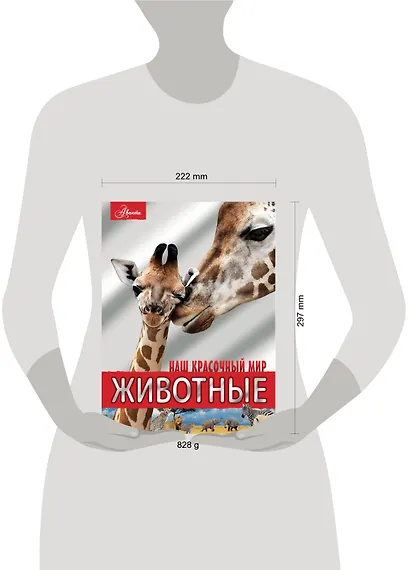 Животные - фото 5