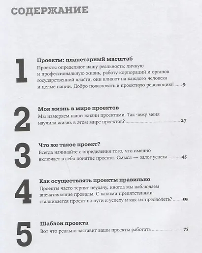 Цель как проект:  Как успешно решать любые задачи с помощью проектного подхода - фото 2