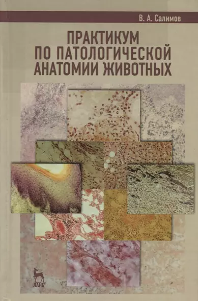 Практикум по патологической анатомии животных. Учебное пособие 2-е изд. перераб. и доп. - фото 1