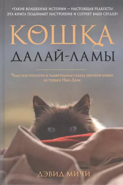 Кошка Далай-Ламы. Чудесное спасение и удивительная судьба уличной кошки из трущоб Нью-Дели - фото 1