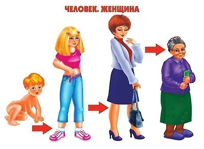 Как растет живое. Рост и развитие людей и живых организмов. Демонстрационный материал для занятий в группах детских садов и индивидуально - фото 2