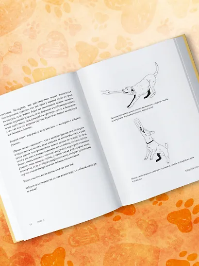 Без ошейника. Как воспитать счастливую собаку без вредных мифов и наказаний - фото 12