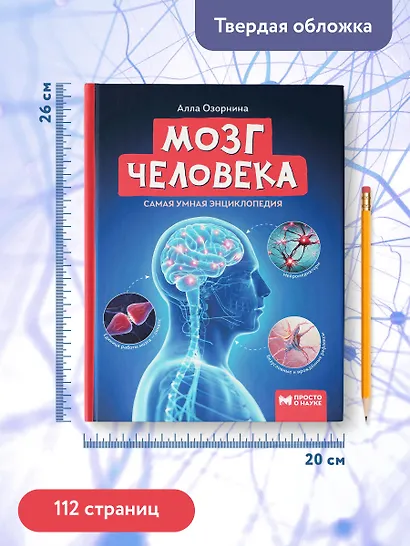 Мозг человека: самая умная энциклопедия - фото 12