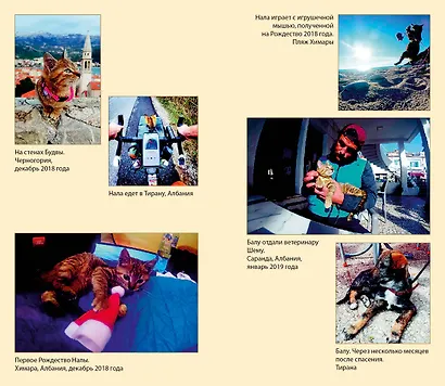 Мир Налы - фото 3