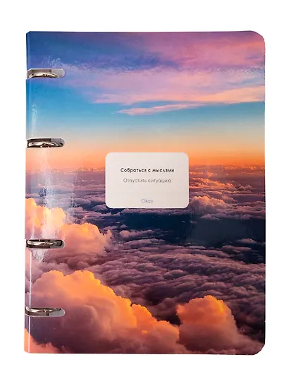 Тетрадь 80л кл. "Собраться с мыслями" на кольцах, мел.картон, глянц.ламинация, квадр.корешок, скругл.углы - фото 1