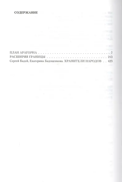 Бадей.План Арагорна - фото 2