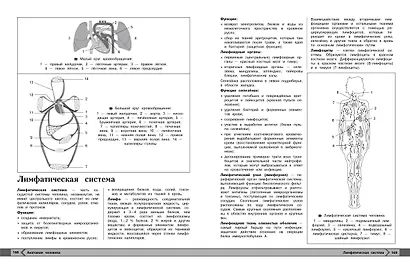 Биология - фото 10