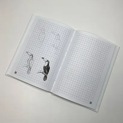 Экспресс-курс по рисованию для начинающих - фото 6