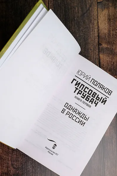 Гипсовый трубач. Книга первая. Однажды в России - фото 6