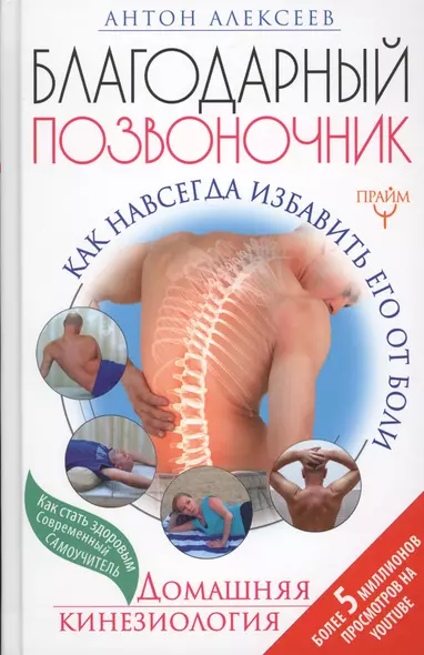 Благодарный позвоночник. Как навсегда избавить его от боли. Домашняя кинезиология - фото 1