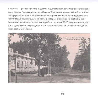 Сокольники в открытках - фото 5