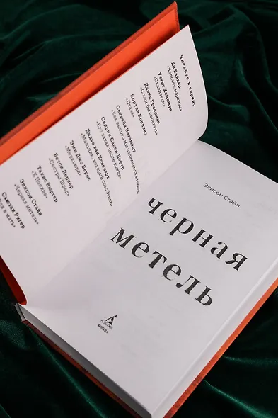 Черная метель - фото 10