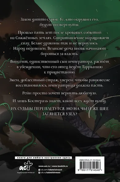 Сожженные земли. Закон дитто - фото 2