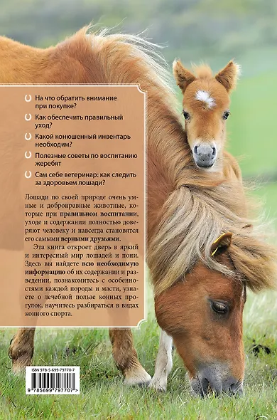 Лошади и пони: справочник для любителей - фото 2