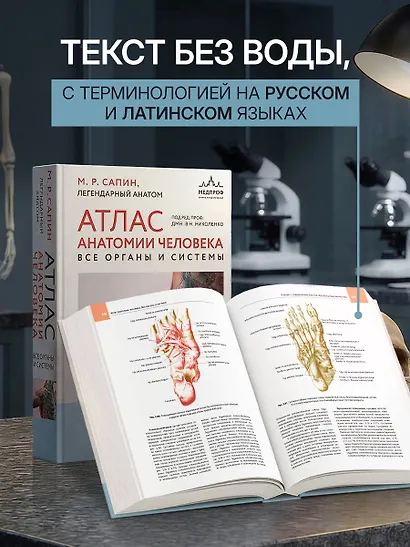 Атлас анатомии человека. Все органы и системы - фото 7
