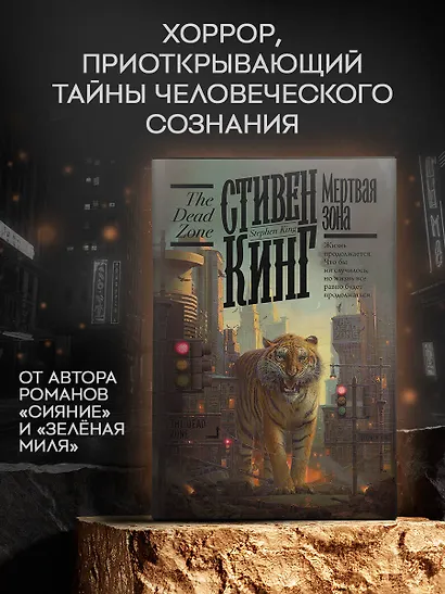 Мертвая зона - фото 3