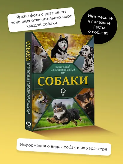 Собаки. Популярный иллюстрированный гид - фото 3