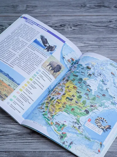 Мир и человек. Полный иллюстрированный географический атлас (в новых границах) - фото 8