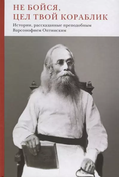 Не бойся, цел твой кораблик. Истории, рассказанные преподобным Варсонофием Оптинским - фото 1