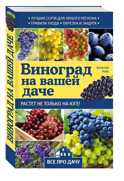 Виноград на вашей даче. Растет не только на юге! - фото 3