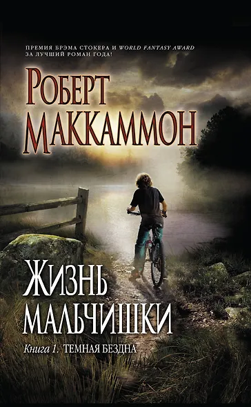 Жизнь мальчишки. Книга 1: Темная бездна - фото 1