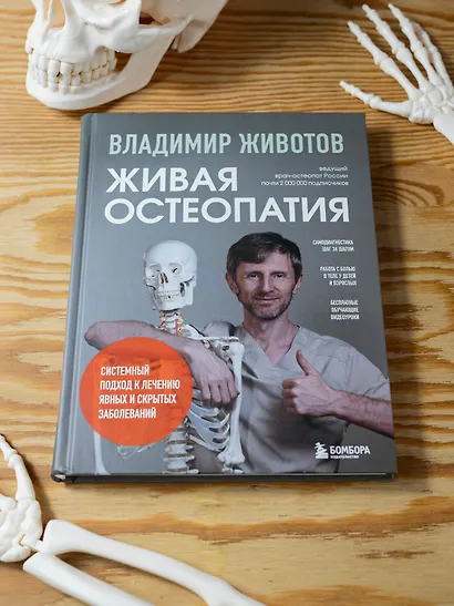 Живая остеопатия. Системный подход к лечению явных и скрытых заболеваний - фото 7
