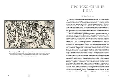 Маленькая книга гурмана. Пиво - фото 9
