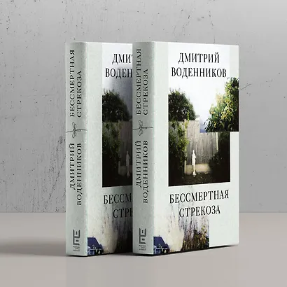 Бессмертная стрекоза - фото 4